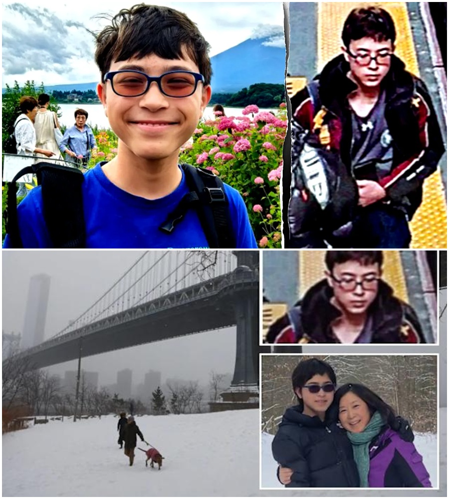 “A MOTHERโS FINAL PROMISE: One diary entry was all it took to shatter her worldโand ignite a desperate search