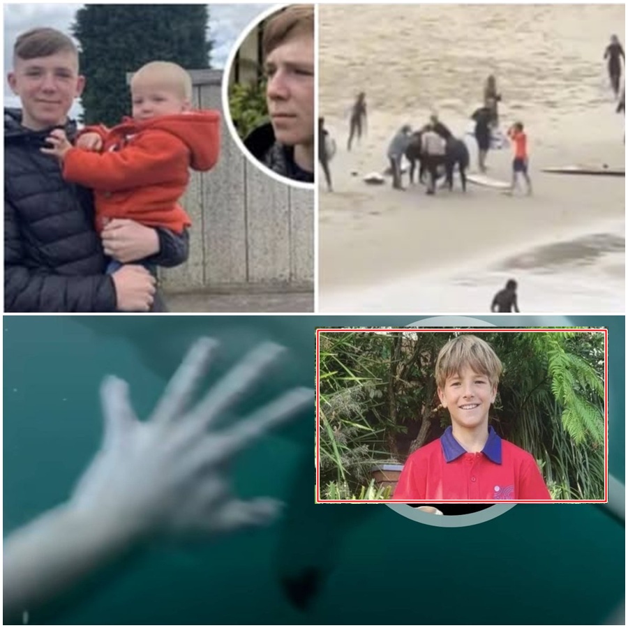 “A SHOCKING AFTERMATH: When the water turned crimson and a bull shark struck young Nico, Liam Hartley didn’t think