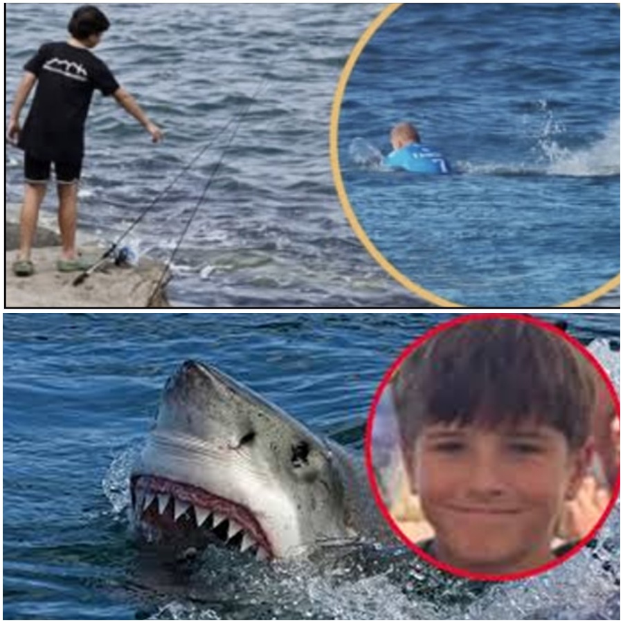 “BEYOND THE SHARK ATTACK: A massive twist has emerged in the Nico Antic case