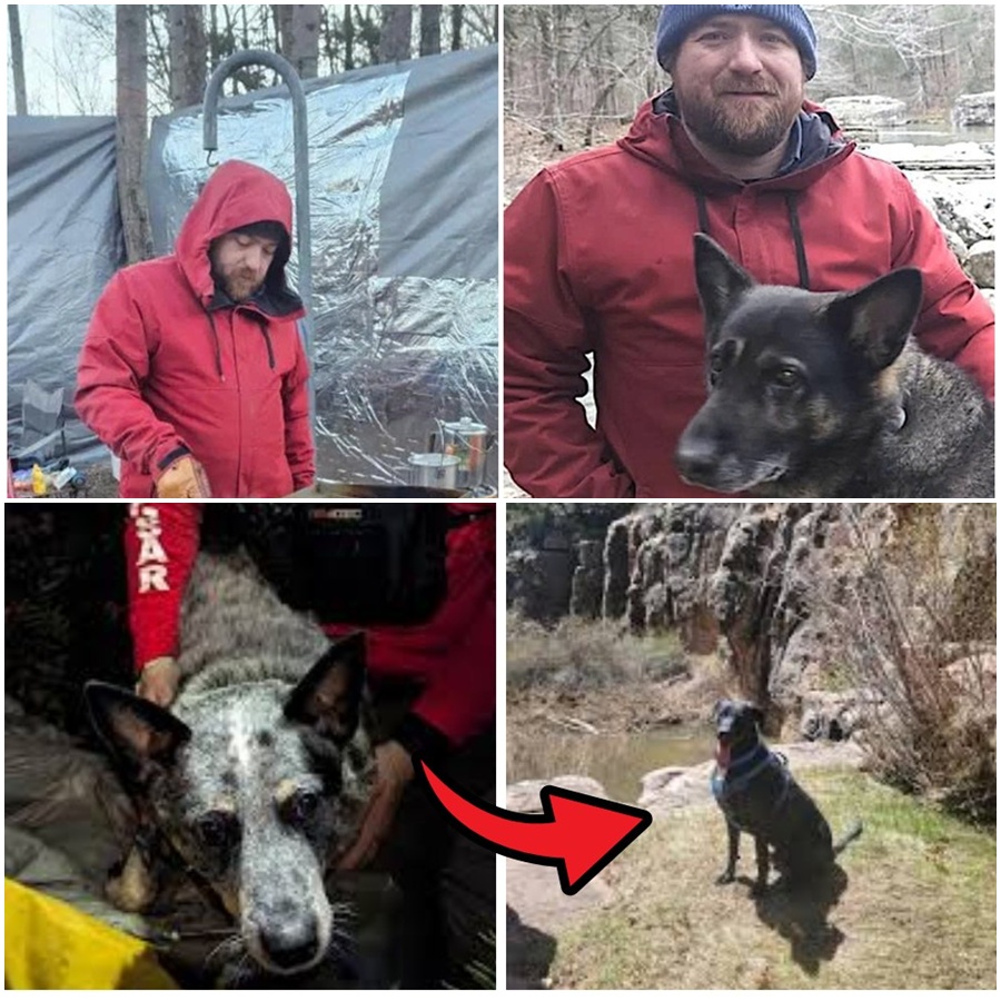 Breaking news from the coastline as rescuers confirm Zoey is safe after a harrowing cliffside recovery