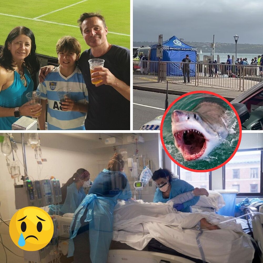 The latest from the hospital on Nico Antic’s fight for survival is absolutely devastating