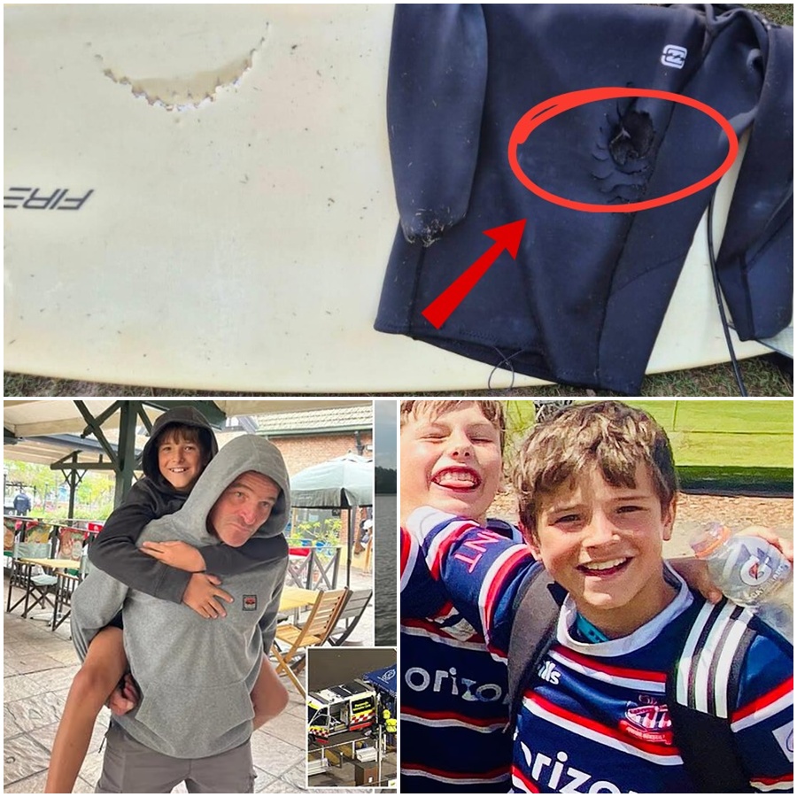 “BEYOND THE BITE: The tragedy of a 12-year-old boy in Australia has taken an unsettling turn