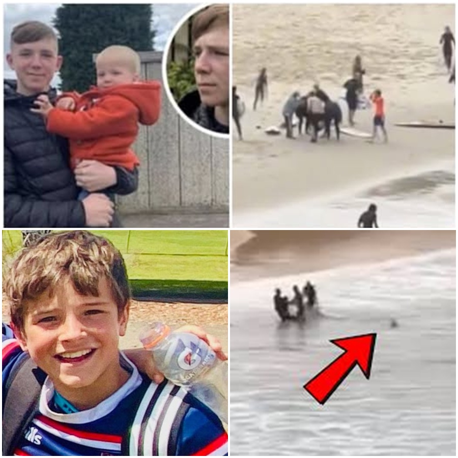 “SHOCKING UPDATE: He jumped into crimson waters to save a life, but now Liam Hartley is losing himself