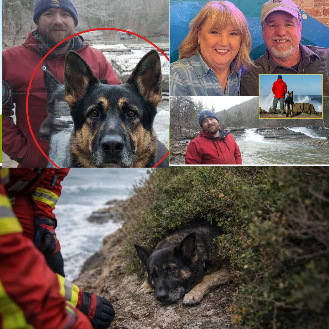 A father’s voice cracked when he said just six words: “Zoey is gone. Chris carried her to the beach.”