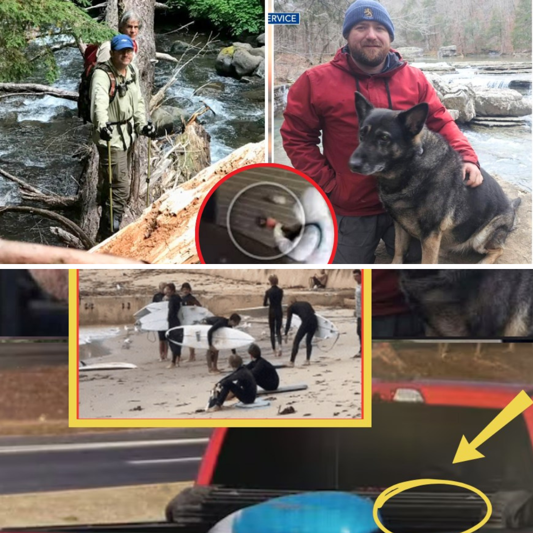 UNBELIEVABLE BREAK IN THE CHRIS PALMER CASE Chris Palmer and his dog have been found — in a place no one expected. Not the police. Not even his family.