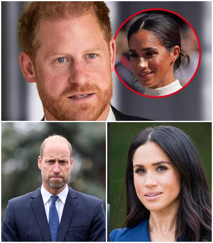 THE ULTIMATE BETRAYAL: Harry Claims Meghan Was a “Human Shield” to Protect William — Was She Sacrificed to the Wolves?