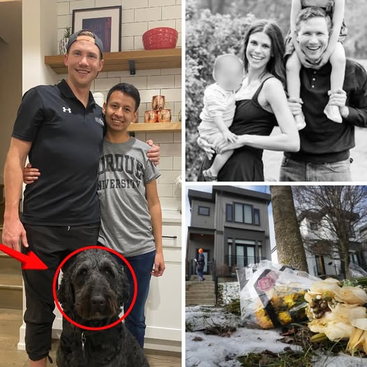 “The Dog Protected the Kids”: Family Pet Saves Two Children After Tragic Killing of Spencer and Monique Tepe