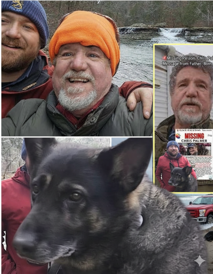 🛑 THE CHRIS PALMER CASE IS OVER — AND THE TRUTH CHANGES EVERYTHING.