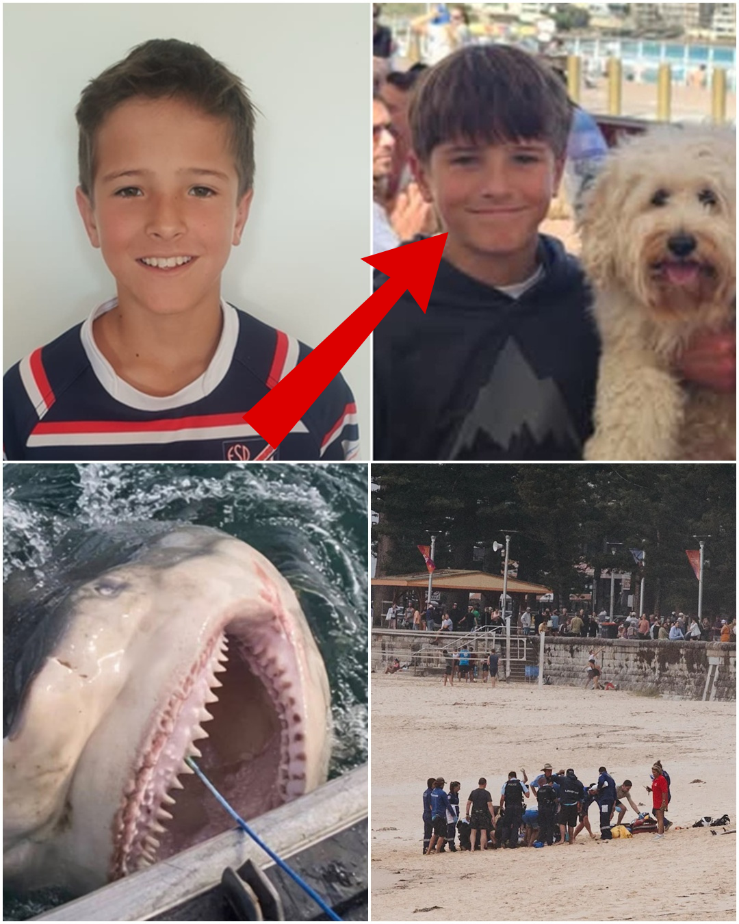 “THE WATER TURNED CRIMSON IN SECONDS” — A LOCAL FISHERMAN RECOUNTS THE HEART-STOPPING MOMENT A BULL SHARK ATTACKED YOUNG NICO