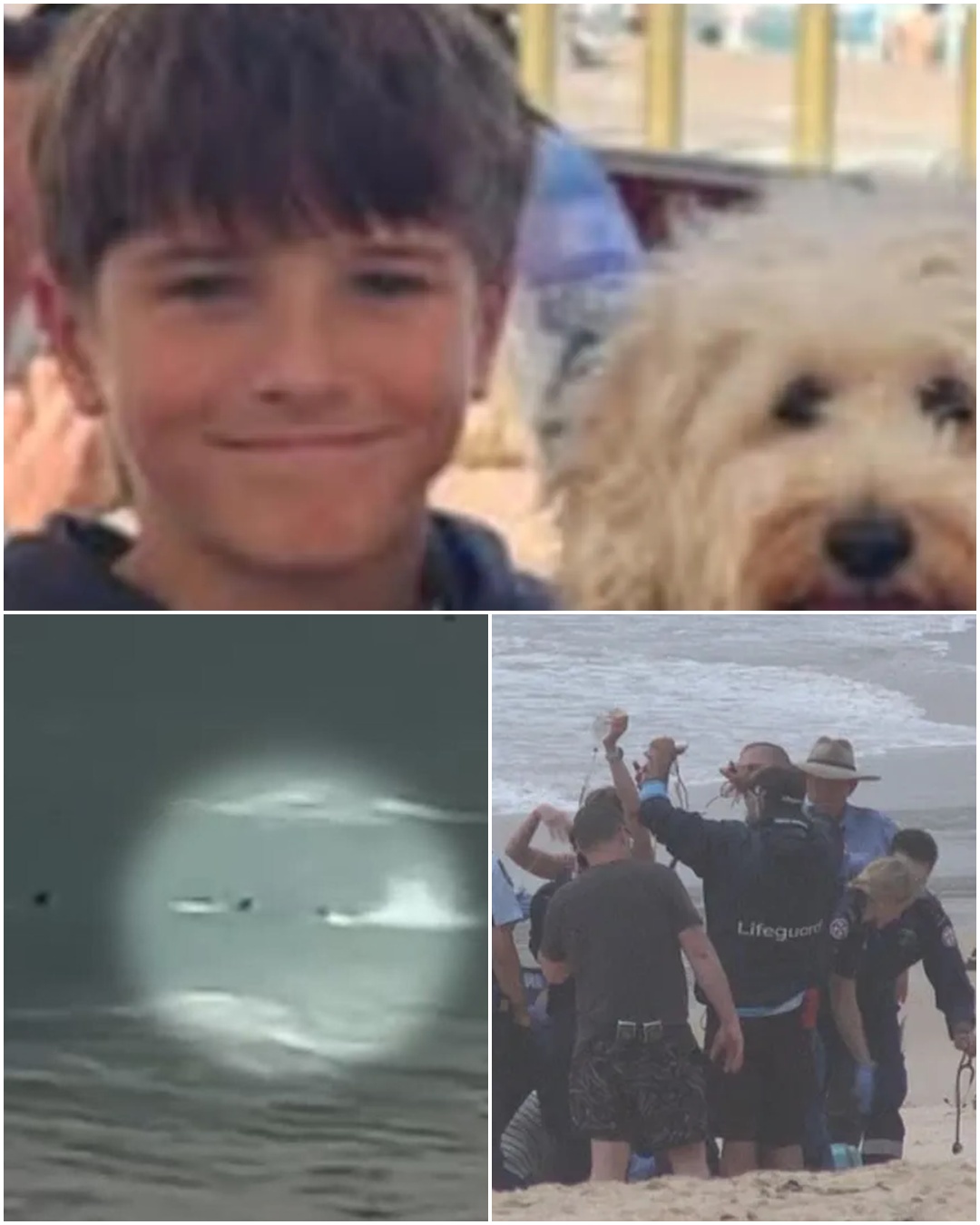 DEVASTATING UPDATE: 12-Year-Old Boy Mauled in Terror Shark Attack Declared Brain Dead and ‘Will Never Recover’