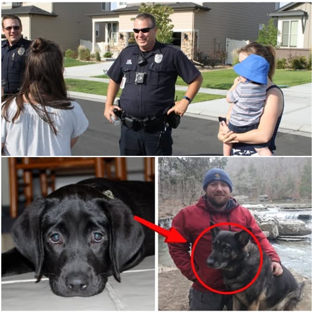 CHRIS PALMER CASE UPDATE: THE 10:00 PM “WINDOW OF ACTIVITY” THAT INVESTIGATORS CAN’T EXPLAIN