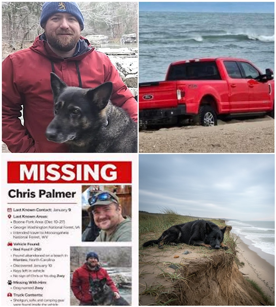 The search for climber Chris Palmer and his dog has taken a dark turn as police focus on exactly where his truck was abandoned