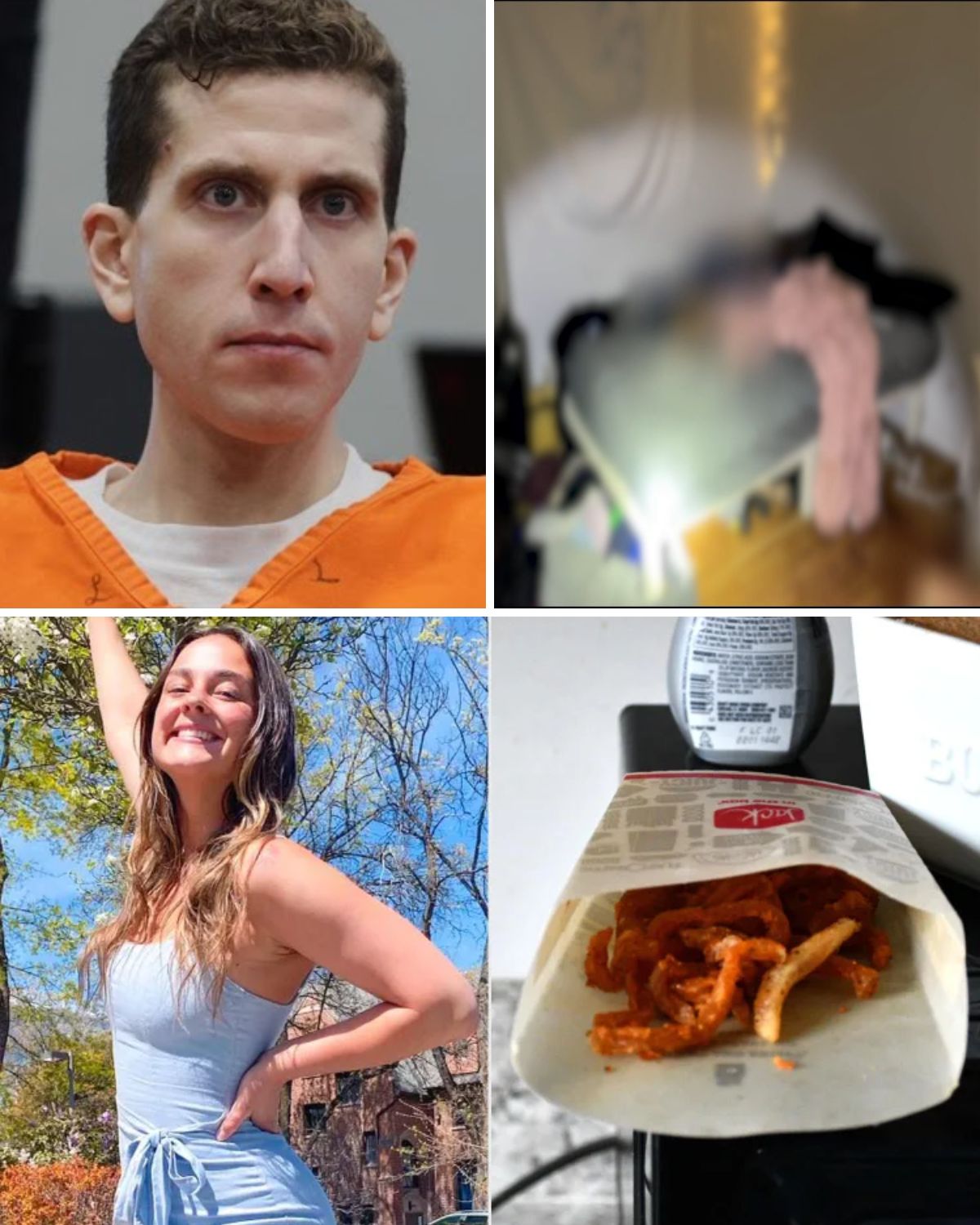 CRITICAL EVIDENCE: How a delivery bag is solving the timeline of the Idaho Murders