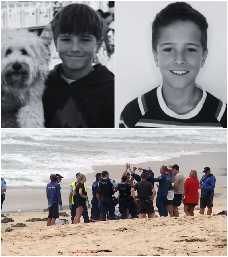 “HE FOUGHT UNTIL THE END”: New details emerge on the shark attack that took young Nico Antic, leaving his family and the community shattered