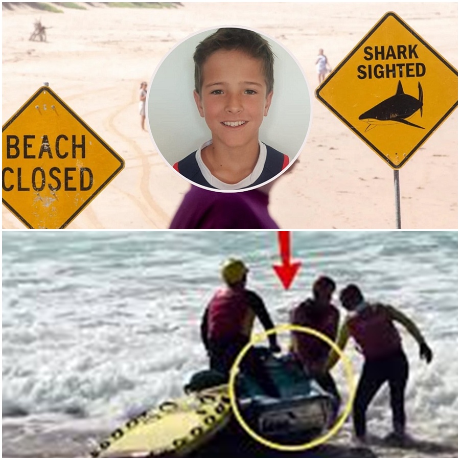 Nico Antic fought a battle no one should ever have to, and though he has passed, his spirit remains unbroken