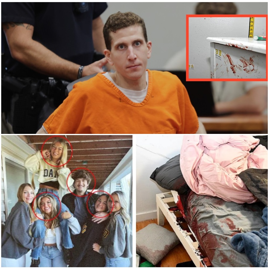 “INSIDE THE CRIME SCENE: For the first time, investigators are letting the public see what they saw inside the Idaho murder house