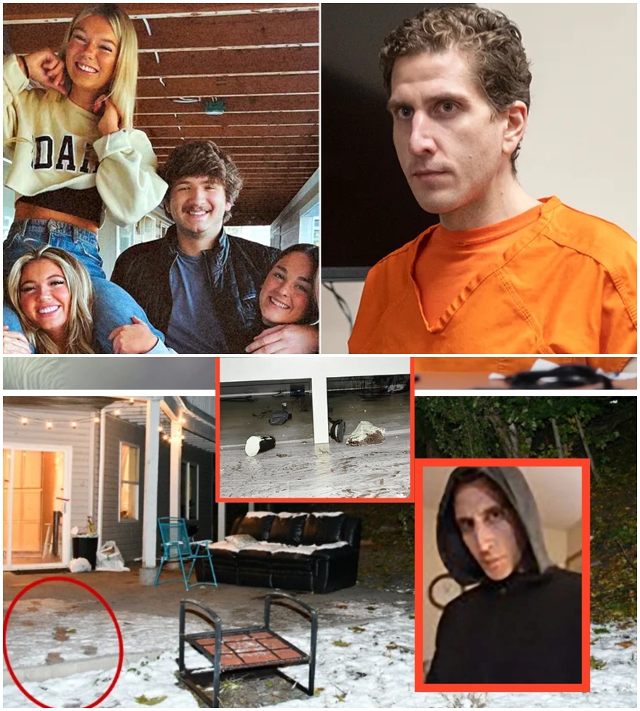 New autopsy findings reveal the heartbreaking reality of the Idaho student murders