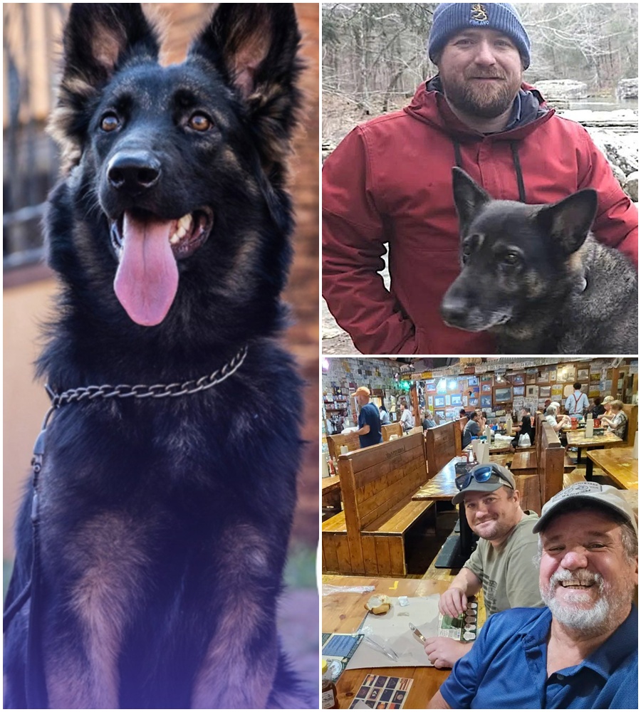 “ONE LAST SOURCE OF PEACE: Chris Palmerβs father reveals the stunning truth behind his sonβs final days with his loyal German Shepherd, Zoey