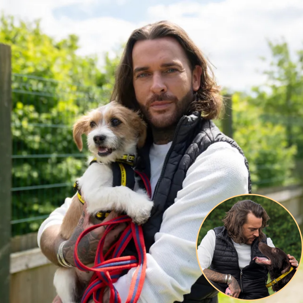 “No One Saw This Coming” — Pete Wicks Steps Into Paul O’Grady’s Shoes and Reinvents His Career 🐾✨