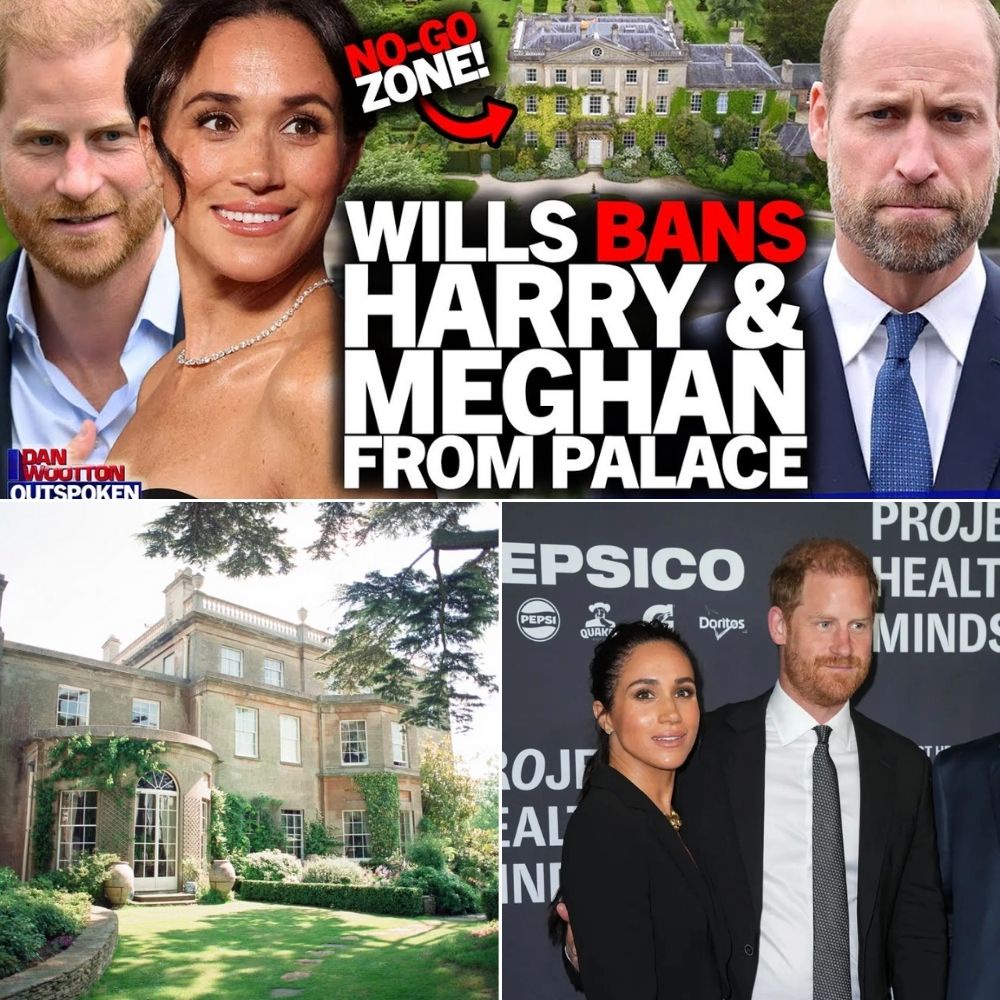 Prince William has prohibited Meghan Markle and Prince Harry from visiting Highgrove as the Sussexes step away from yet another charity.