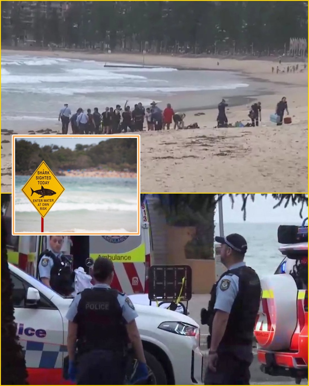 “NO SCREAMS… JUST BL00D” — Chi:lling Eyewitness Account Emerges After Surfer Mauled by Shark in Sydney