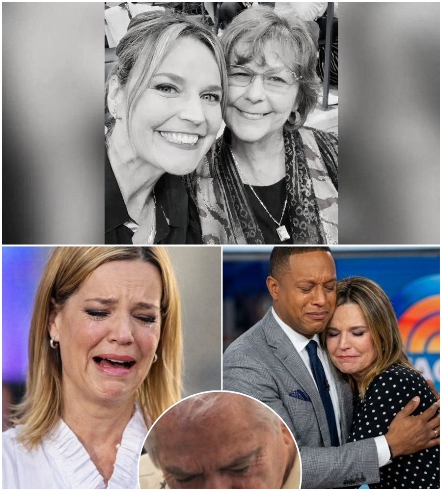 “TIME IS RUNNING OUT.” 🚨 Heartbreaking new analysis suggests that Nancy Guthrie may have been moved far from her Tucson home, a move that experts say drastically lowers the likelihood of finding her alive. 🌑  Despite the “unthinkable” ransom demands and the $1M reward, the focus is shifting. Authorities are now tracing cell tower data and “secondary sites” in the Arizona desert, hoping to defy the expert’s grim prediction. The family remains in constant prayer, but the weight of the unknown is becoming unbearable. 🛡️👣  READ the latest update on the search of the “secondary location” in the comments. 👇