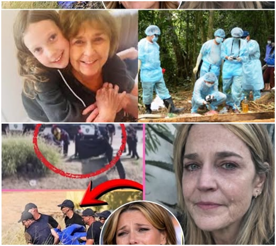 SHOCKING: “There are no more miracles.” 🚨 The search for 84-year-old Nancy Guthrie ended today in a tragedy that has shattered the Today Show family. Savannah Guthrie’s live reaction to the police report says more than any headline ever could. 🌑💔  Police have unmasked the final moments of Nancy’s disappearance, leaving a community in mourning and a family searching for answers in the wreckage. The search is over. The silence is deafening. ⚖️🛡️  FIND OUT what the police found at the scene in the comments below. 👇