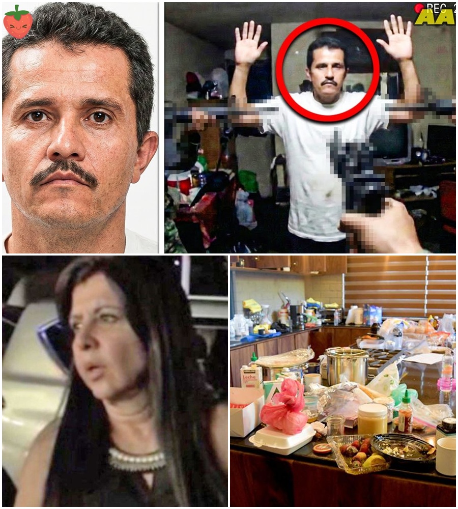 THE FINAL COUNTDOWN. 🚨 24 hours. That’s all it took to dismantle a 30-year legacy of terror. While El Mencho’s inner circle whispered contingency plans behind fortified walls, a net of high-tech surveillance and human intelligence was tightening with ruthless precision.  By the time the helicopters thundered over the Jalisco pine forests, the path was already sealed. Wounded in the woods and captured in the undergrowth, the man who shot down a military helicopter in 2015 died in one in 2026. A billion-dollar empire cracked before the smoke even cleared. 🛡️👣  READ the full timeline of the “Romantic Trap” that led to the raid in the comments.