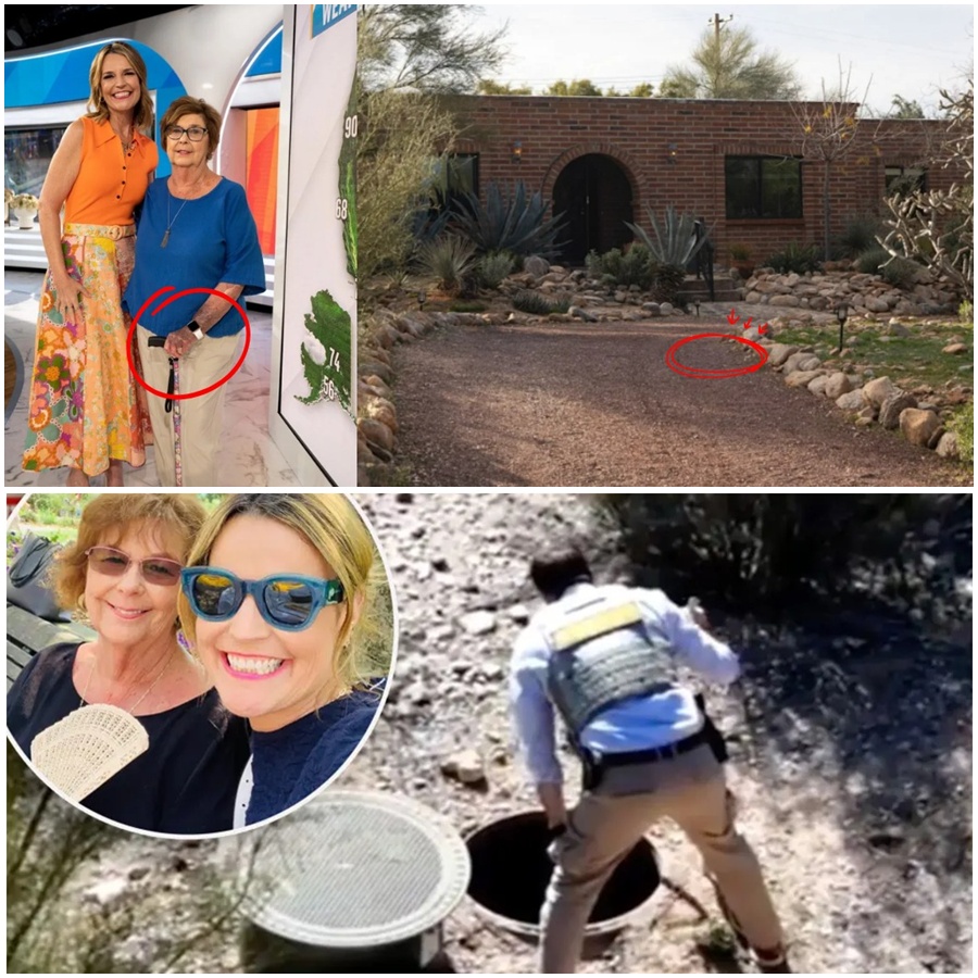 Just minutes ago, the grid lit up. A mysterious signal tied to 84-year-old Nancy Guthrie has been detected, sparking an urgent call to Savannah Guthrie. While officials warn the signal ‘doesn’t behave normally,’ it is the first sign of life in a case that had gone cold. Is this the turning point we’ve been praying for, or a sophisticated lure? The world waits as the FBI chases a ghost in the machine.