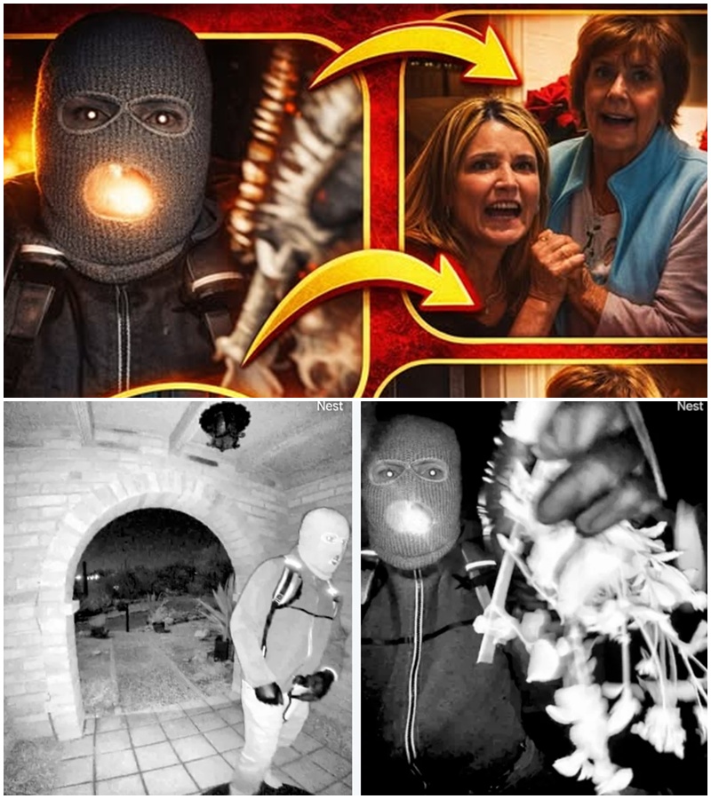 It only takes one slip-up to end a nightmare. Reports are emerging that Nancy Guthrie’s abductor left behind a ‘fatal’ piece of evidence while trying to evade police. Whether it was a logged GPS ping or a discarded item with a traceable history, this ‘rookie’ error has changed the search into a pinpointed recovery mission. He wanted a ransom; now he’s going to get a reckoning.