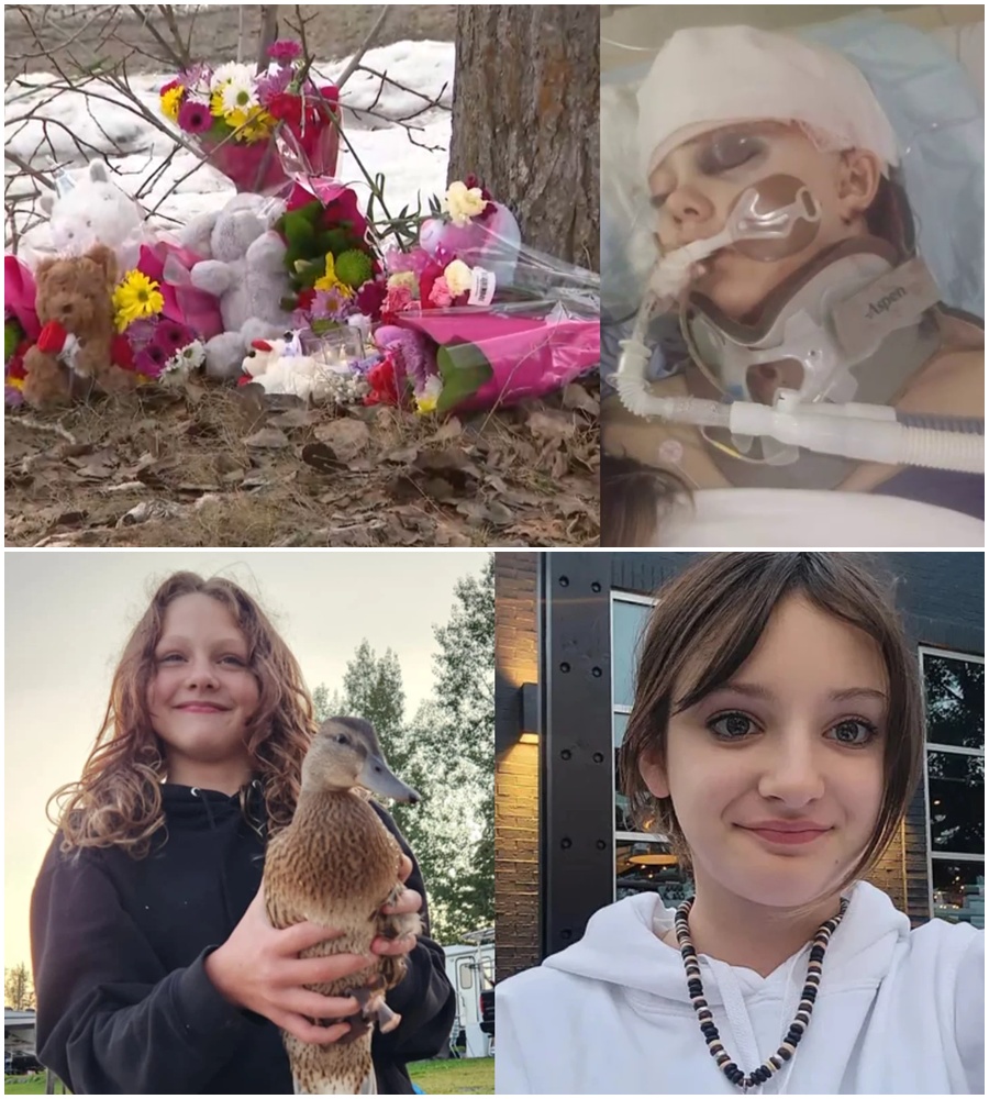 **”A MOTHER’S SILENT AGONY. We are now learning the devastating truth of 12-year-old Maya Gebala’s final moments before the nightmare at Tumbler Ridge. While she is hailed as a hero for trying to lock the library door to save her friends, it is her final communication that has left the world breathless. 🥀🛡️ As Maya fights for her life in the ICU, her mother waits in heartbreak, longing to hear her daughter call out ‘Mama’ once again. But it is the three-word message Maya sent just before the incident that has silenced everyone who has seen it. It wasn’t a plea—it was a testament to her courage. What did those three words say, and why have they left investigators in tears? The full, emotional story behind her final message and the latest update on her condition are linked in the comments below.