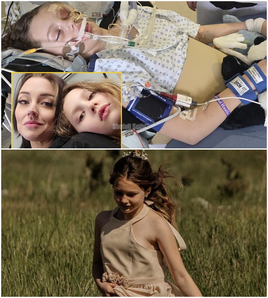 A MOTHER’S HEAVY HEART. 🚨 “My brave girl is not talking.” Maya’s mother is speaking out against the “fiction” spreading online while her daughter fights for every breath. 🌑  The miracle we all want hasn’t arrived yet. Maya is still intubated, battling a relentless setback involving a leak of cerebral fluid and blood from her surgical wounds. The family is currently waiting for the neurosurgeon to decide the next move. Made-up stories only add to their suffering. Let’s focus on the facts and the fight. 🏥✨  SEE THE OFFICIAL medical update and find out how you can truly support the family in the comments. 👇