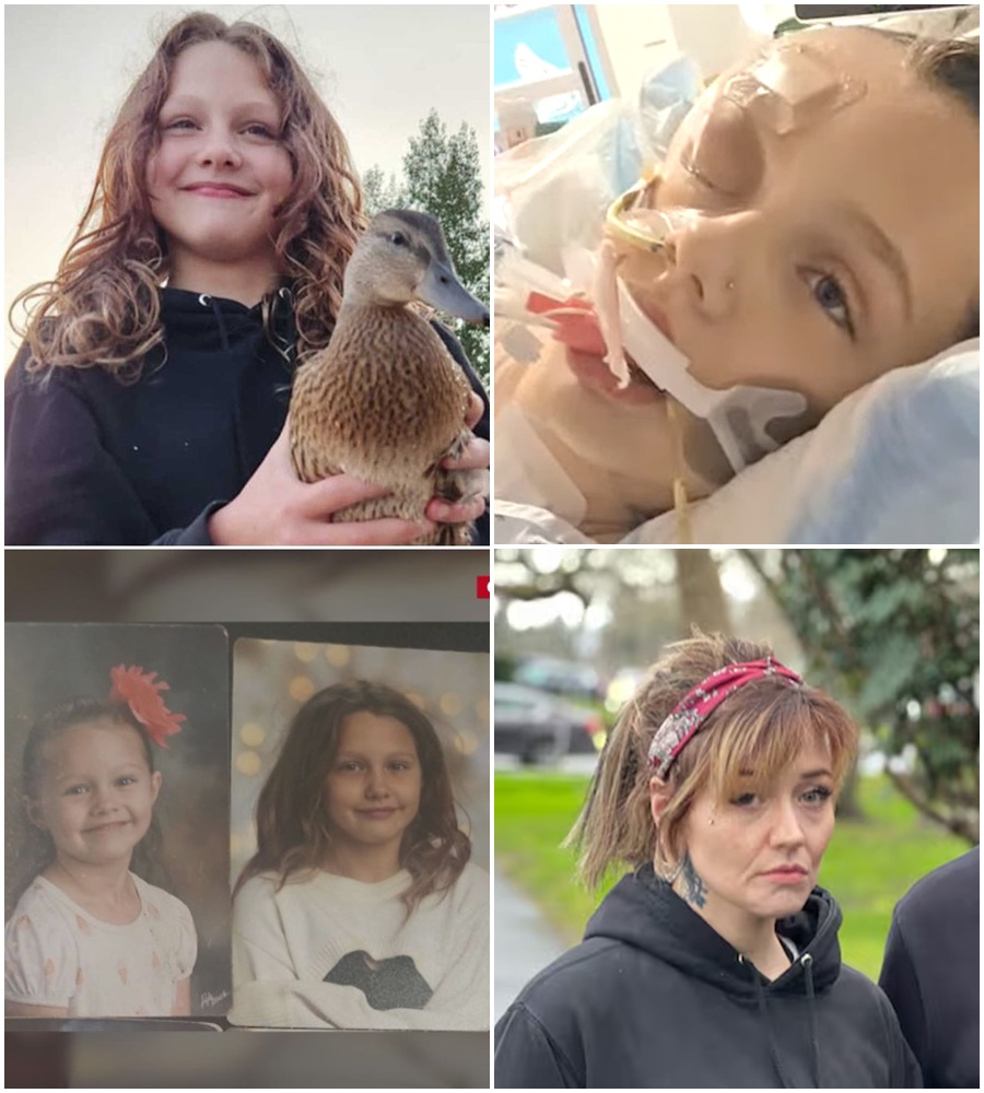 BOMBSHELL UPDATE: Maya Gebala is awake! 🚨 The 12-year-old hero has spoken her first words, but the medical news that followed has left everyone stunned. 🏥✨  Her survival was a miracle, but what doctors are saying now about her future is the news we all needed to hear. ⚖️🔍  FIND OUT what the doctors revealed and read Maya’s message in the comments. 👇