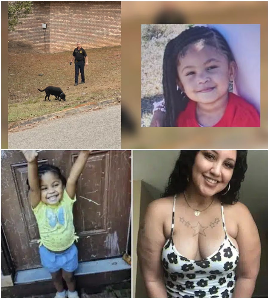 “THANK GOD WE DIDN’T FIND ANYTHING.” 🚨 The search for 2-year-old Genesis Reid in Alabama reaches a fever pitch—but a chilling discovery about her last sighting is shaking the community to its core. 🌑⚖️  Was she taken at 3 a.m. in her Minnie Mouse pajamas, or is the truth much darker? The gap between the mother’s story and the neighbors’ testimony is growing by the hour. 🔍🛡️  See the latest evidence found at the scene and the “Day 3” search update in the comments below.