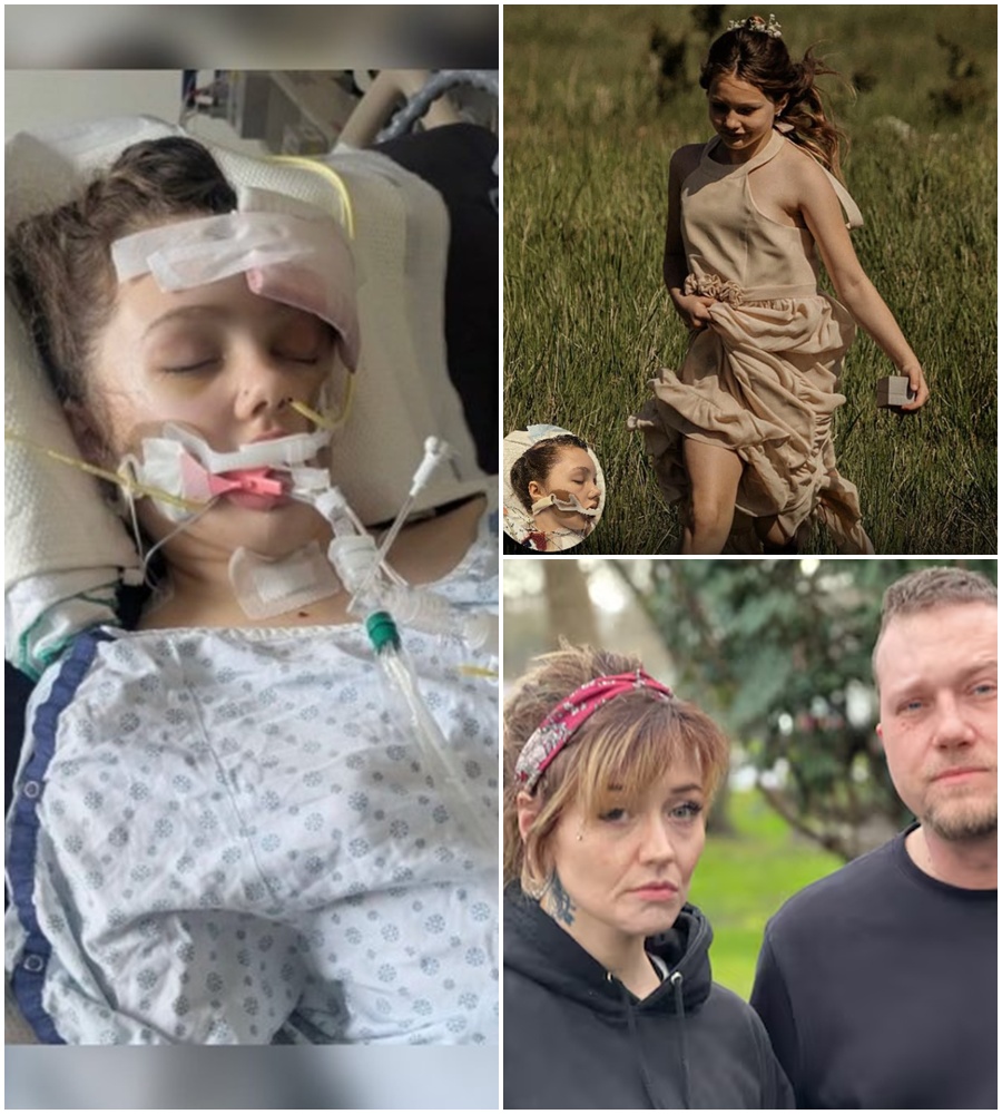 BOMBSHELL REVEAL: Doctors have just released the findings on the youngest survivor, and the room went silent. 🚨📺  This major turn in the case is blowing the original theories wide open. What was found during the examination tonight contradicts everything the suspects claimed. The youngest victim is now the key to unmasking the truth. 🌑🔍  See the “Medical Evidence” and the doctors’ official statement in the comments. 👇