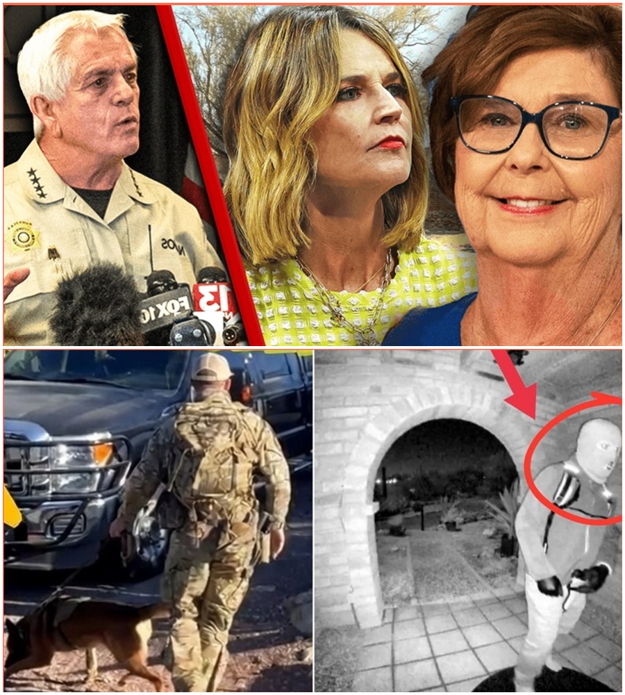 A DEVASTATING TURN. 🚨 Investigators have recovered a key piece of evidence in the hunt for Nancy: the suspect’s black backpack, discarded in a dumpster only 5KM away. 🌑  The mystery deepened when hazmat-style protective masks were required for the recovery. Inside, a discovery was made that has completely shattered Savannah Guthrie’s hope for a simple motive. The truth is much darker than we imagined. 🛡️👣  READ MORE about the “Backpack Evidence” and the suspect’s trail in the comments.