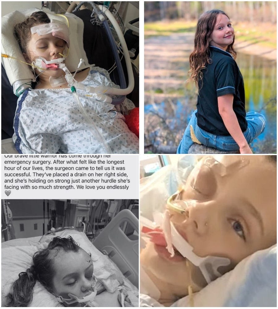 SHE MADE IT THROUGH. 🚨 Following a high-stakes emergency procedure, authorities have confirmed that Maya is stable and the surgery was a success. 🌑➡️☀️  The news everyone prayed for just arrived, and the weight lifted off her family’s shoulders is immense. Doctors are now revealing the next steps for the girl who saved her classmates, and the outlook is brighter than anyone dared to hope. 🛡️✨  READ the doctor’s full statement and the recovery timeline in the comments.