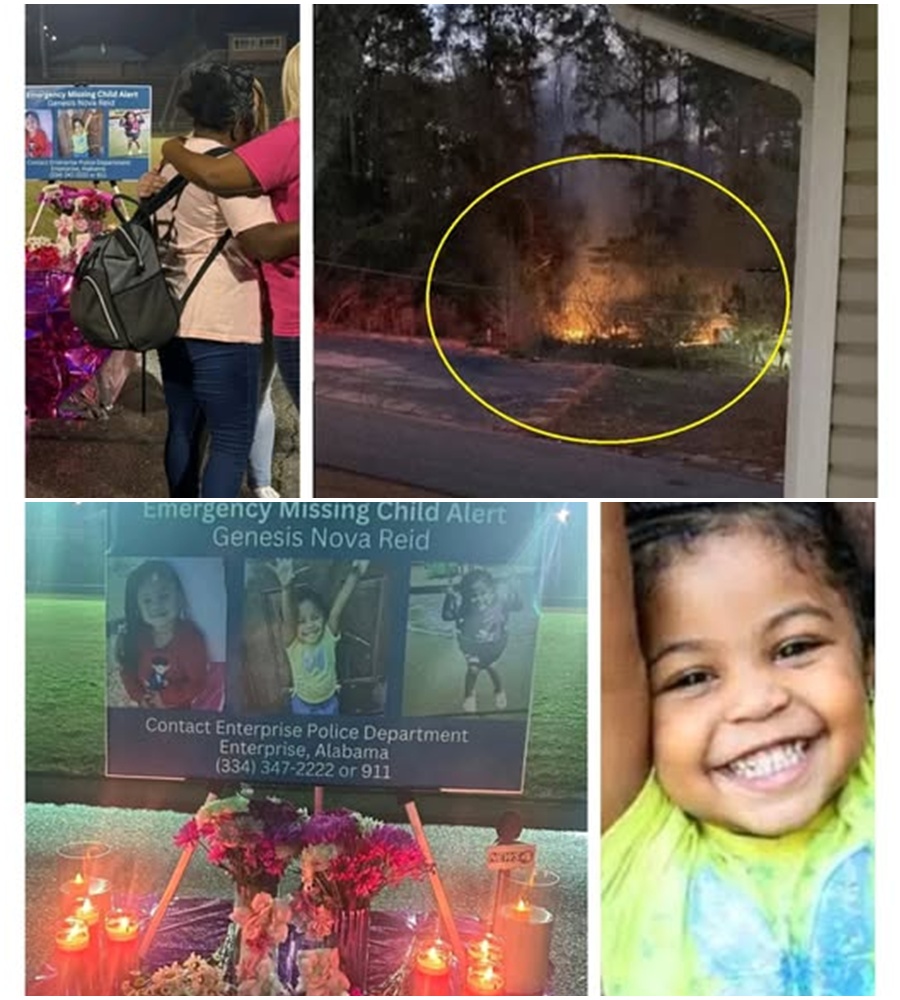 THE PHOTOS THEY DIDN’T WANT YOU TO SEE. 🚨 Images of a fire pit behind the Meadowbrook Apartments are going viral as the search for Genesis takes a dark turn. 🌑  Neighbors have come forward claiming Adrienne was burning things “repeatedly” in the brush just weeks before the toddler vanished. Investigators are now scouring the site for forensic remains. The question on everyone’s mind: What was being burned, and why? 🛡️👣  READ the forensic report and see the leaked brush fire photos in the comments. 👇