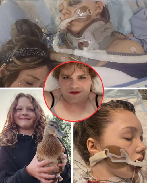 BOMBSHELL: Bullet fragments still in Mayaโs brain! ๐จ The 12-year-old warrior is on life support as specialists face a “desperate” decision on how to proceed. ๐๐ Despite opening her eye and breathing on her own, the “chilling” detail of remaining fragments means the danger is far from over. Maya is fighting a battle cameras can’t see, and she needs a miracle now more than ever. โ๏ธ๐ก๏ธ FIND OUT what the surgeons are planning next in the comments. ๐