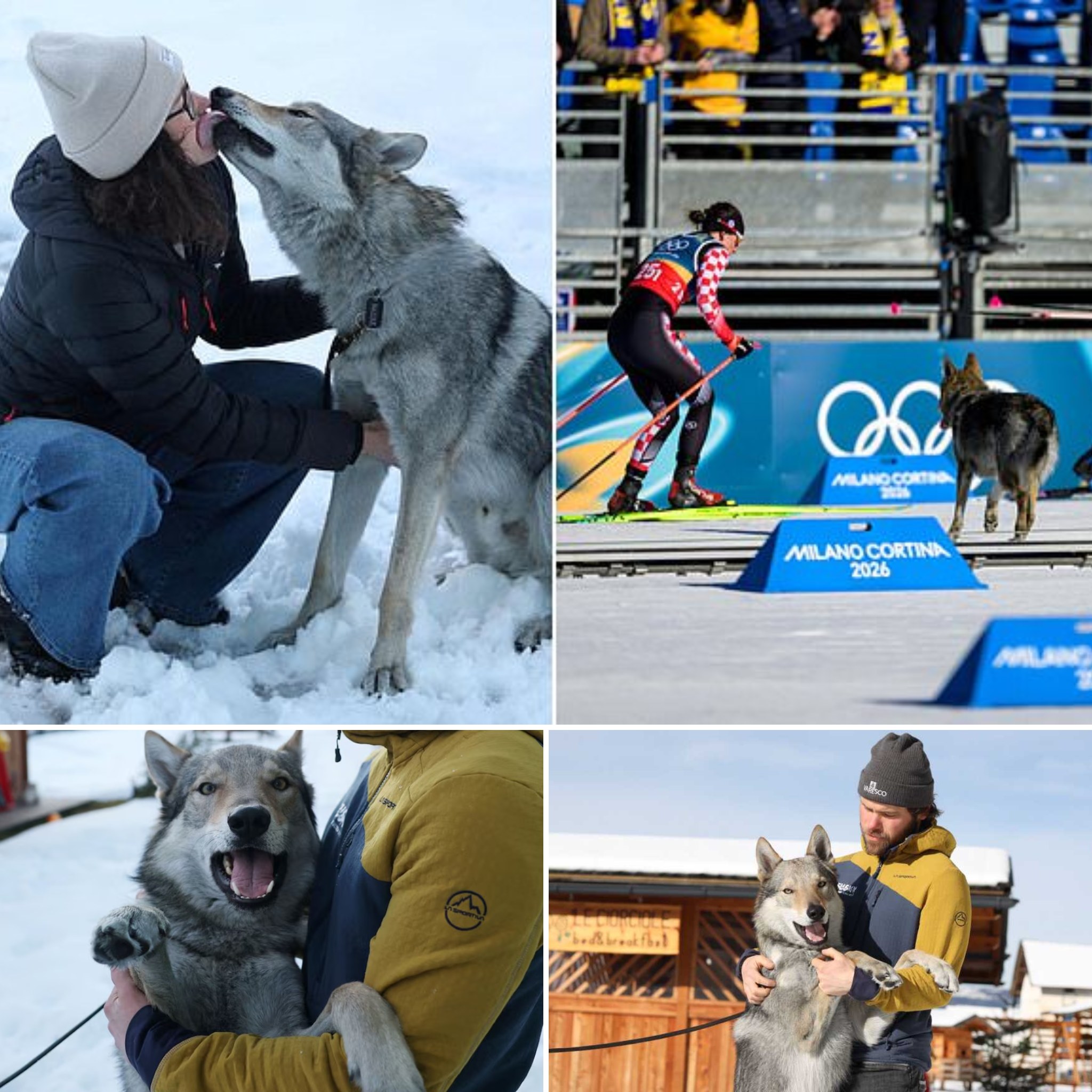 “I COULDN’T BREATHE — MY DOG WAS RUNNING ON THE OLYMPIC TRACK.”