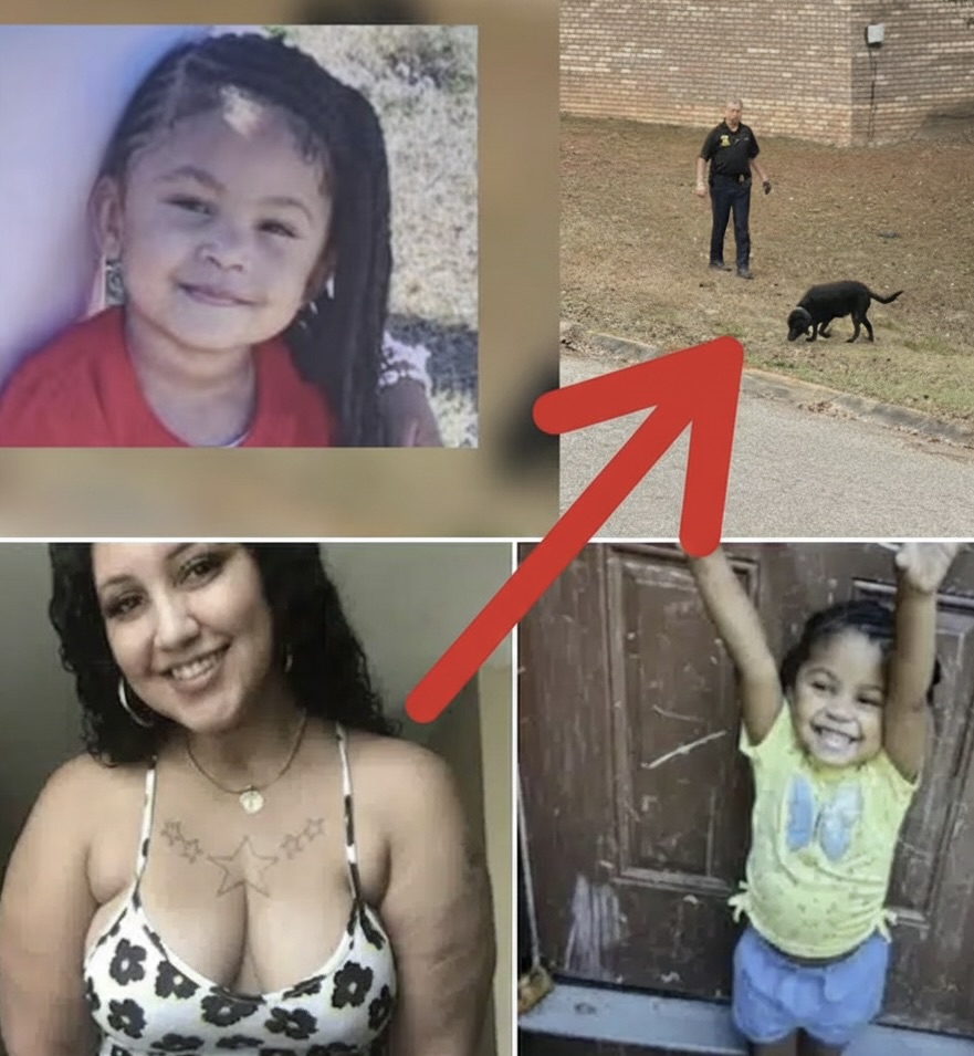 UPDATE: A 2-Year-Old Vanishes in the Night — But Neighbors Say She Was Gone Long Before Anyone Called Police… 🥀