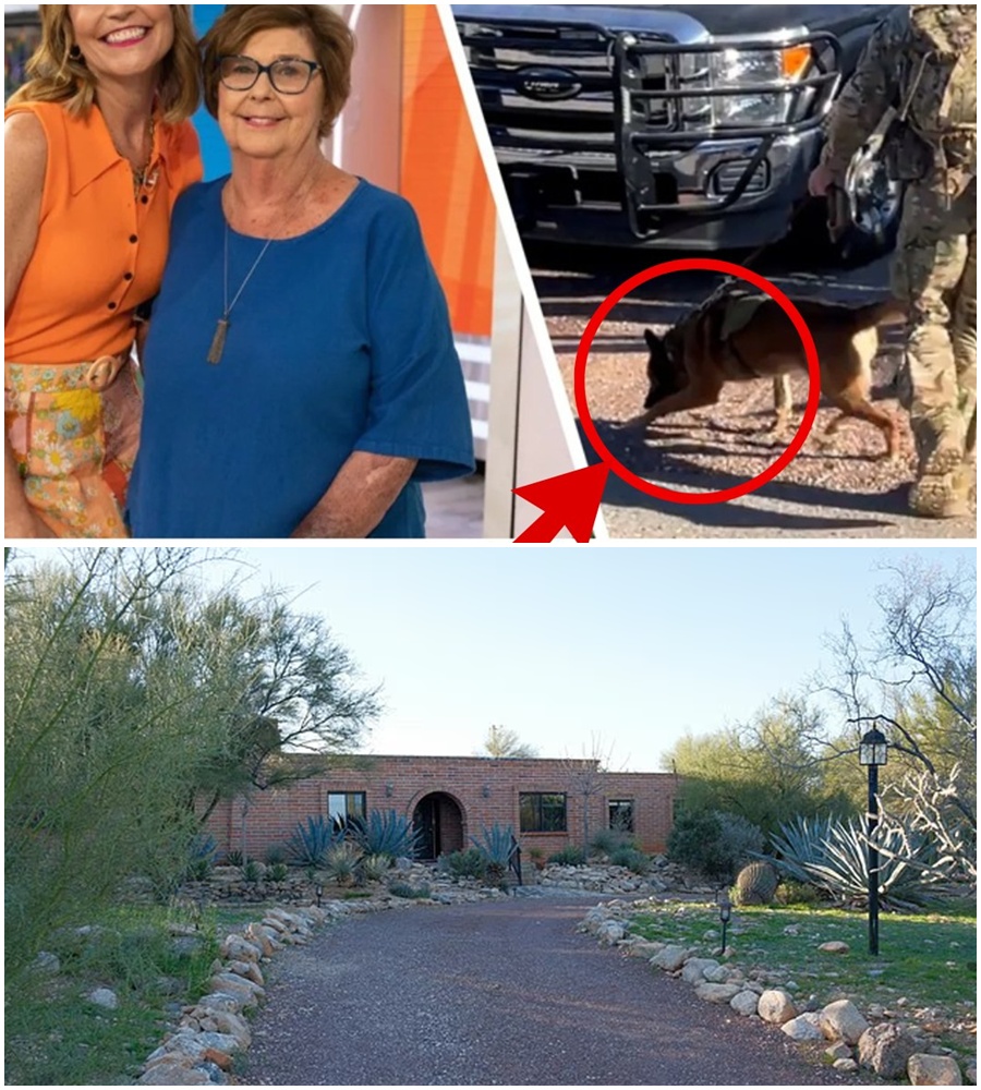 New evidence reveals Nancy Guthrie wasn’t alone when she reached her driveway. Investigators confirm at least TWO captors were involved, one of them armed and dangerous. This video follows the haunting trail from her final meal to the moment she vanished. The presence of a weapon suggests a level of violence that has shifted the entire investigation into high gear. They were waiting. They were prepared. And now, the hunt is on to find them.