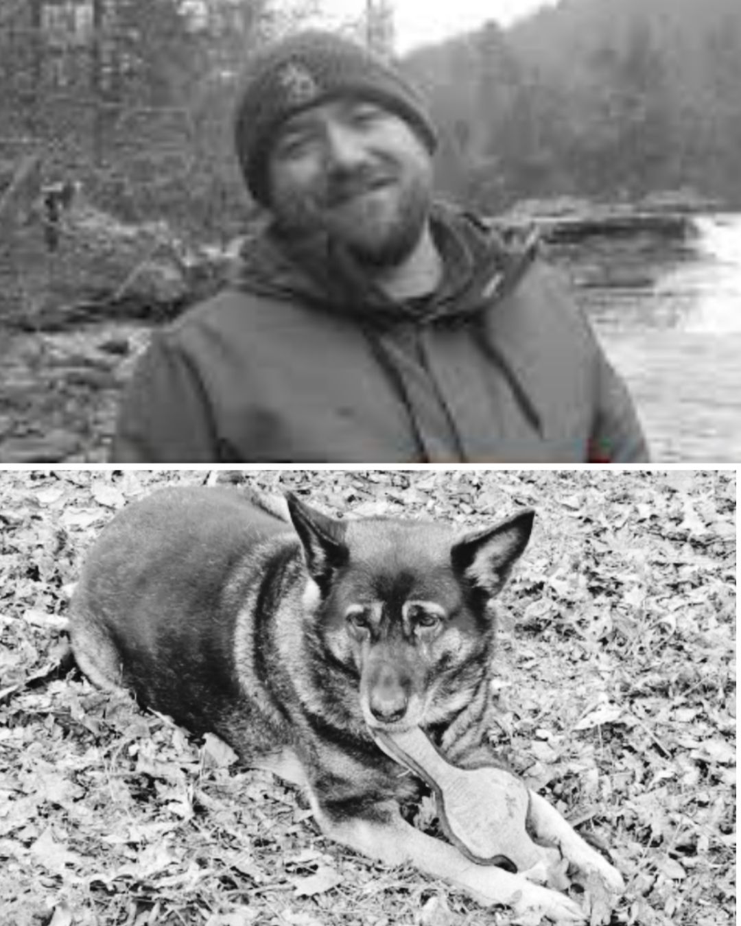 Many have wondered about the fate of Zoey, Chris Palmer’s loyal German Shepherd. His father, Bren, has clarified the tragic timeline