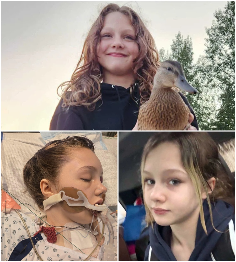 **”A HERO AT 12, A MONSTER UNMASKED. 🕊️💔 The details emerging from the Tumbler Ridge tragedy are nothing short of a nightmare. While 12-year-old Maya Edmonds fights for every breath in a Vancouver ICU—brain fragments still lodged in her head—the world is learning the chilling truth about her attacker.  Jesse Van Rootselaar, a high school dropout described by his own mother as ‘sinister’ since childhood, obsessed over twisted murder videos before carrying out this senseless slaughter. Maya was shot while bravely trying to lock her classroom door to save others