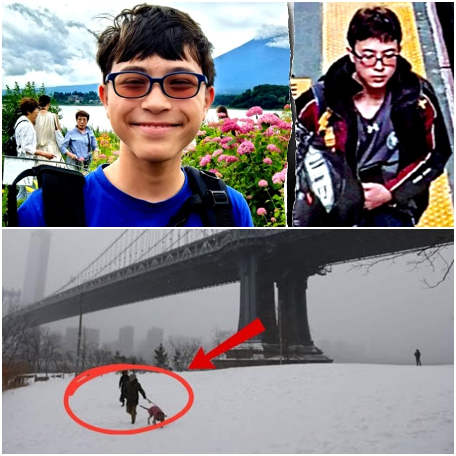 “WAKE UP AND COME HOME”: THE DEVASTATING MOMENT THOMAS MEDLIN’S MOTHER FOUND HER SON. 🌑 After two months of tireless searching, the miracle never came. The mother of Thomas Medlin fell to her knees, overcome by grief, as she saw her son’s body recovered from the water. “Why did you leave?” she cried out, pleading for the 15-year-old to wake up and return to the home where she had been waiting for him since January. The sight of the pale remains of the boy who disappeared two months ago was too much to bear. Her screams of “Come home with me” echoed a pain that only a parent can understand. Today, a mother’s search is over, but a lifetime of mourning has just begun. See the emotional tributes pouring in for Thomas and his family during this dark time: 👇