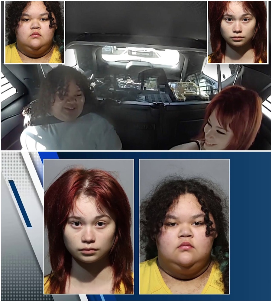 “HOW DO I LOOK?”: TEENS ACCUSED OF PLOTTING SCHOOL MASSACRE JOKE ABOUT MUGSHOTS IN POLICE CAR. 🌑 The footage is as disturbing as the crime they are accused of. Lois Olivios Lippert and Isabelle Aurelia Valdez, the Florida teens who allegedly wanted to carry out a school shooting, were caught on video laughing and making jokes while being transported to custody. While their plan was to cause unthinkable pain, their behavior in the police car reveals a mindset that is deeply unsettling. From plotting to “resurrect” a tragedy to worrying about their appearance in mugshots, the lack of empathy is absolute. See the shocking video and the investigation update here: 👇