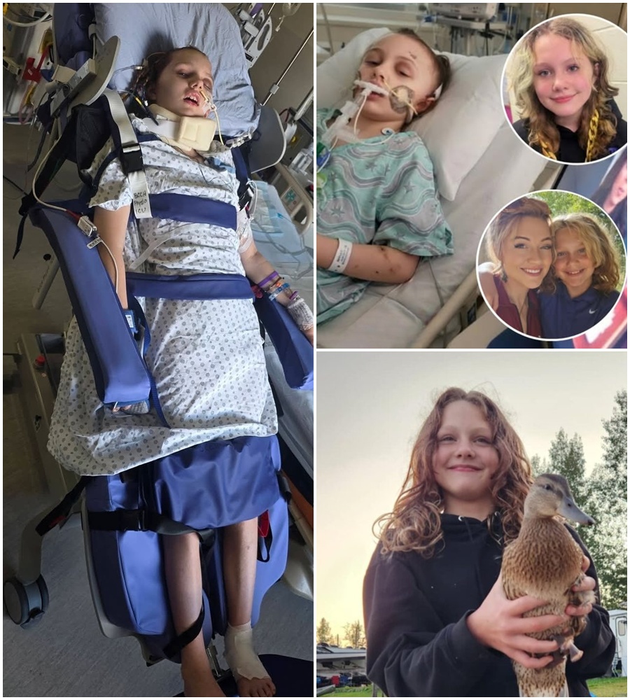 THE SURGERY WAS SUPPOSED TO BE HER FINAL VICTORYโBUT SOMETHING IN THE PRE-OP SCANS HAS LEFT MAYA GEBALAโS DOCTORS SPEECHLESS. The community was ready to celebrate Mayaโs long-awaited prosthetic skull surgery this week, but the celebration has turned into a nightmare of uncertainty. Sources close to the medical team say an “unforeseen anomaly” appeared at the eleventh hour, forcing an emergency halt to the operation. While the brave teen continues to fight, the details of this new medical battle are being kept under tight wraps. Insiders hint that the complication isn’t just physicalโit’s a setback that could change the entire course of her rehabilitation. As the doors to the ICU remain closed, the world is waiting to find out: What did the surgeons see that was so alarming they had to stop everything? Full story in the comments