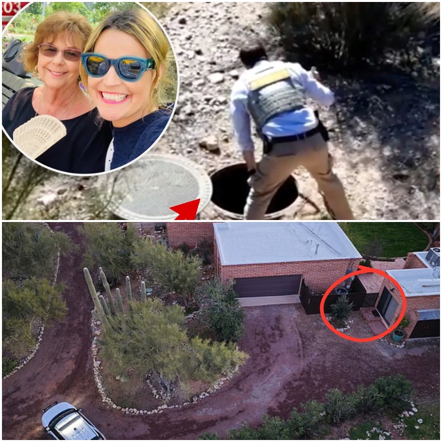 THE HOUSE IS WATCHING. 🚨 The first day back was supposed to be about closure. But as Nancy Guthrie’s daughters stepped into the backyard, they encountered a “strange” anomaly that sent them running for the police. Someone had been there—and they left a signature that was intended only for the family to find.  Amidst the overgrown grass and the silence of a house frozen in time, the discovery suggests that the secret to Nancy’s disappearance isn’t miles away in a mountain pass—it’s been under their feet this entire time. The investigation is moving back to where it all started