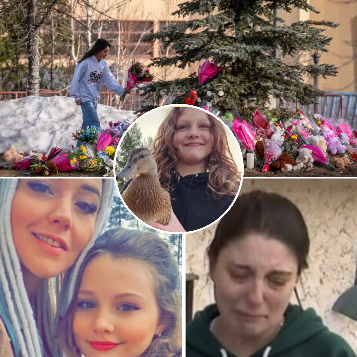 The family of 12-year-old Maya Gebala has just broken their silence regarding her condition after the tragic events at Tumbler Ridge Secondary. Their latest statement is a raw, emotional plea that has left thousands in tears.