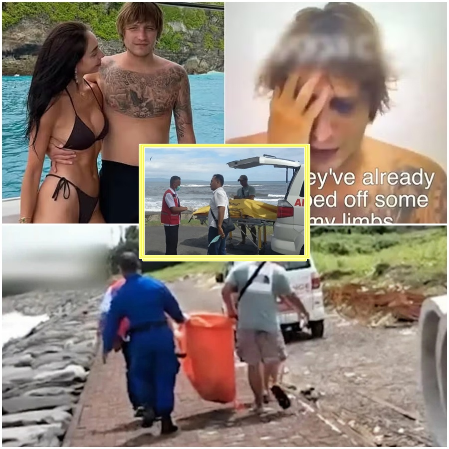 OFFICIAL CONFIRMATION: Remains identified as missing tourist Igor Komarov. 🚨 After weeks of uncertainty, DNA testing has confirmed the worst: the remains found on the beaches of Bali belong to Igor Komarov. Investigators have pieced together a terrifying timeline: abducted in Jimbaran on February 15, held for a massive ransom, and captured in a disturbing video that shocked the internet. While authorities are now narrowing down the motive, the question remains: Was this a random act of violence, or was Igor specifically targeted for his wealth? The full update on the forensic findings and the kidnapping timeline: 👇
